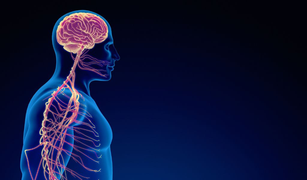 Neurodevelopmental Disorders | Lakeside Spine And Wellness June 15, 2026 Neurodevelopmental disorders | lakeside spine and wellness |